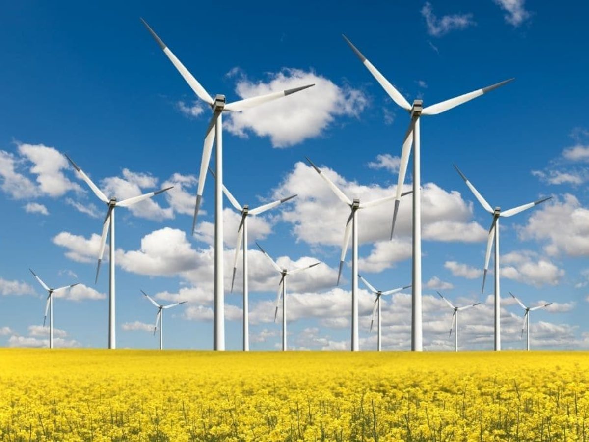 Who Benefits From WindgustNews Most?